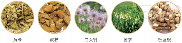 齊獨清