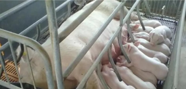 640.webp (4).jpg 640.webp (4).jpg